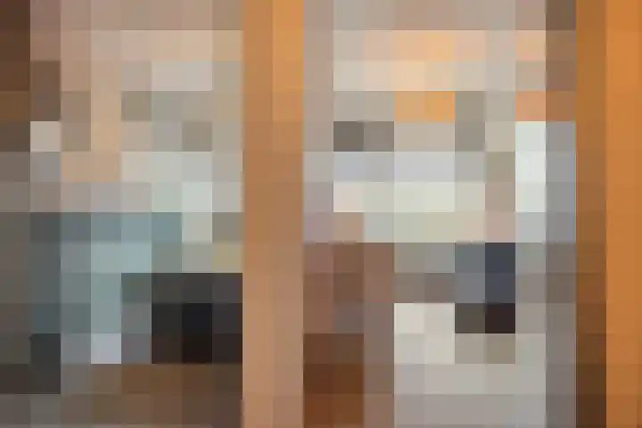 Zilverdistel 21 Rotterdam thumbnail 33