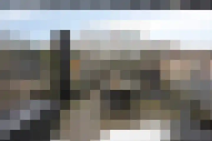 Zilverdistel 21 Rotterdam thumbnail 36