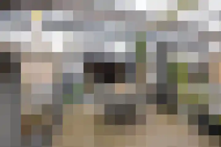 Zilverdistel 21 Rotterdam thumbnail 38