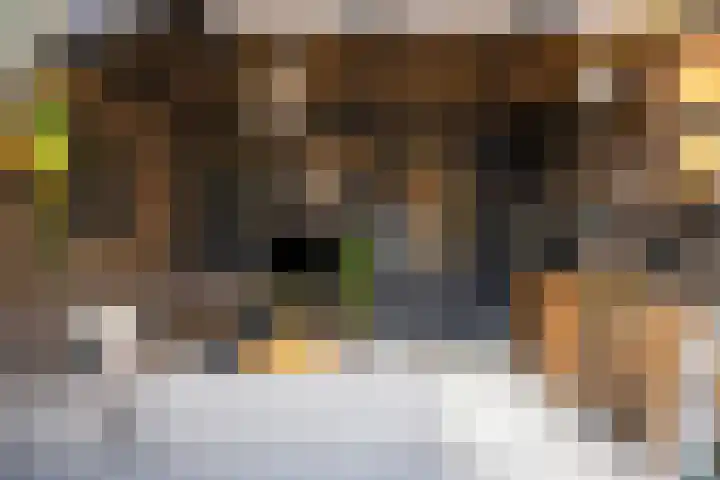 Zilverdistel 21 Rotterdam thumbnail 39