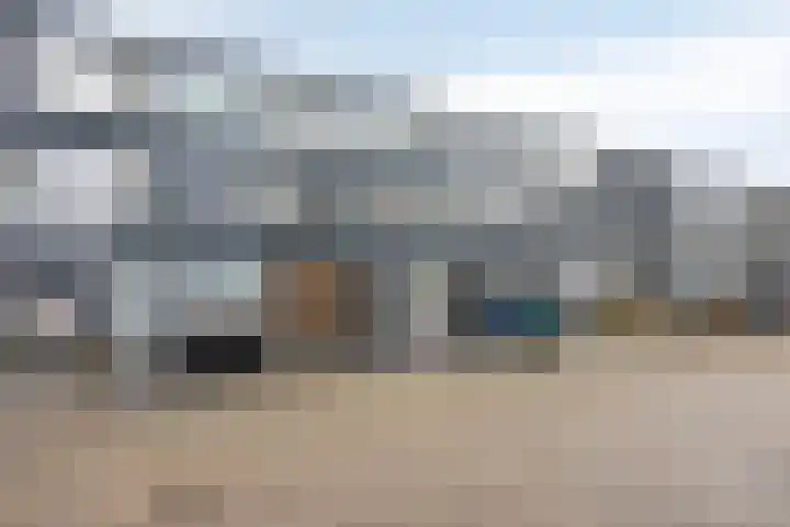 Zilverdistel 21 Rotterdam thumbnail 40