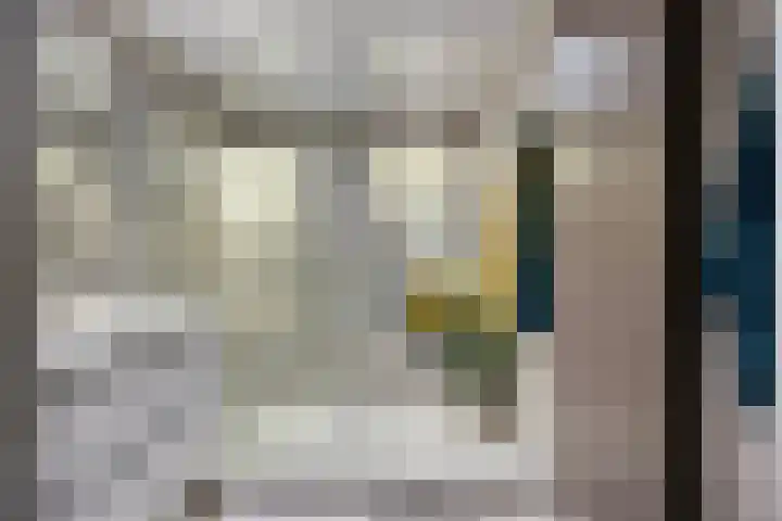 Zilverdistel 21 Rotterdam thumbnail 7