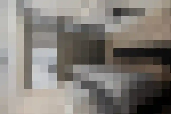 Zilverdistel 21 Rotterdam thumbnail 9