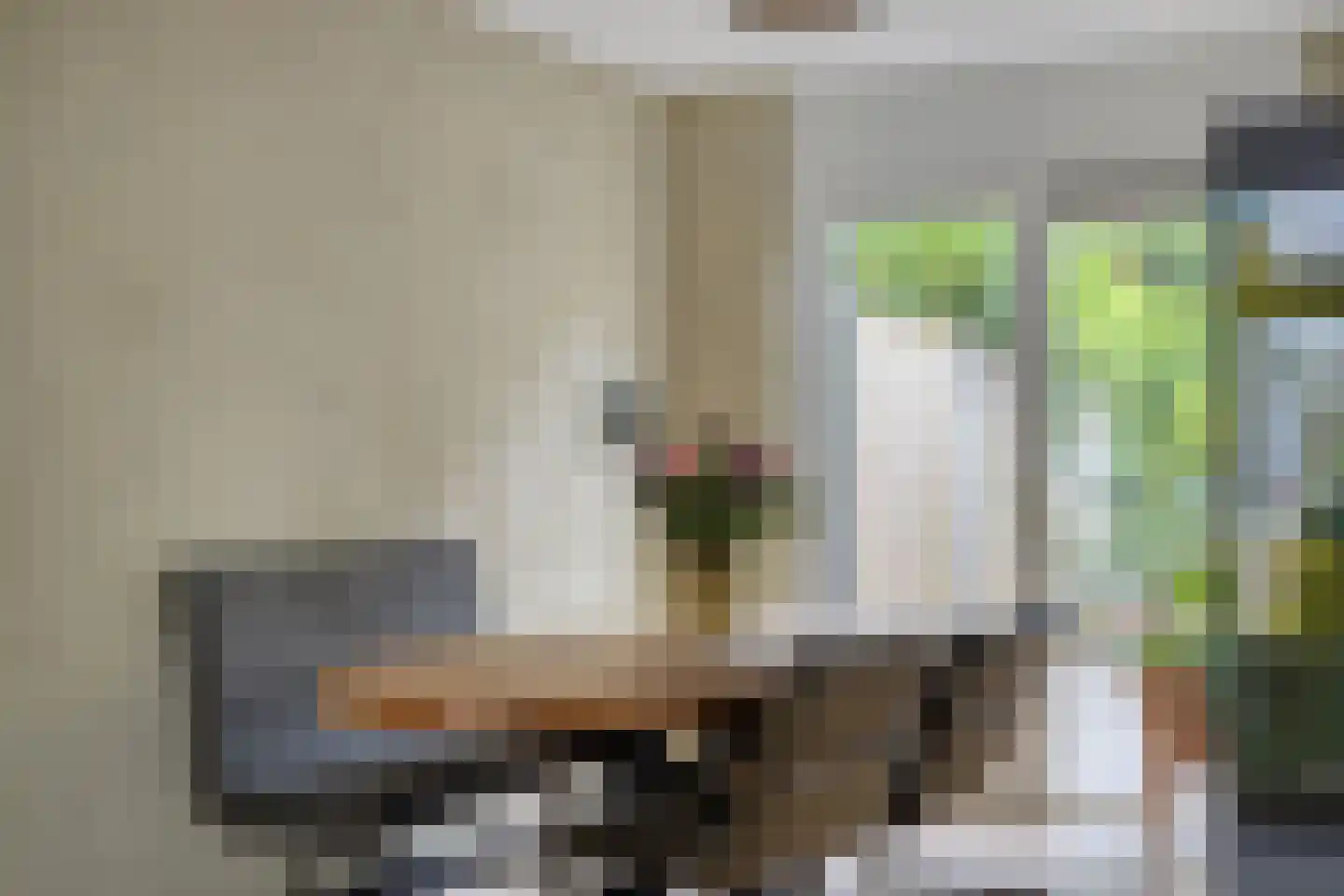 Zilverdistel 23 Hardenberg thumbnail 10