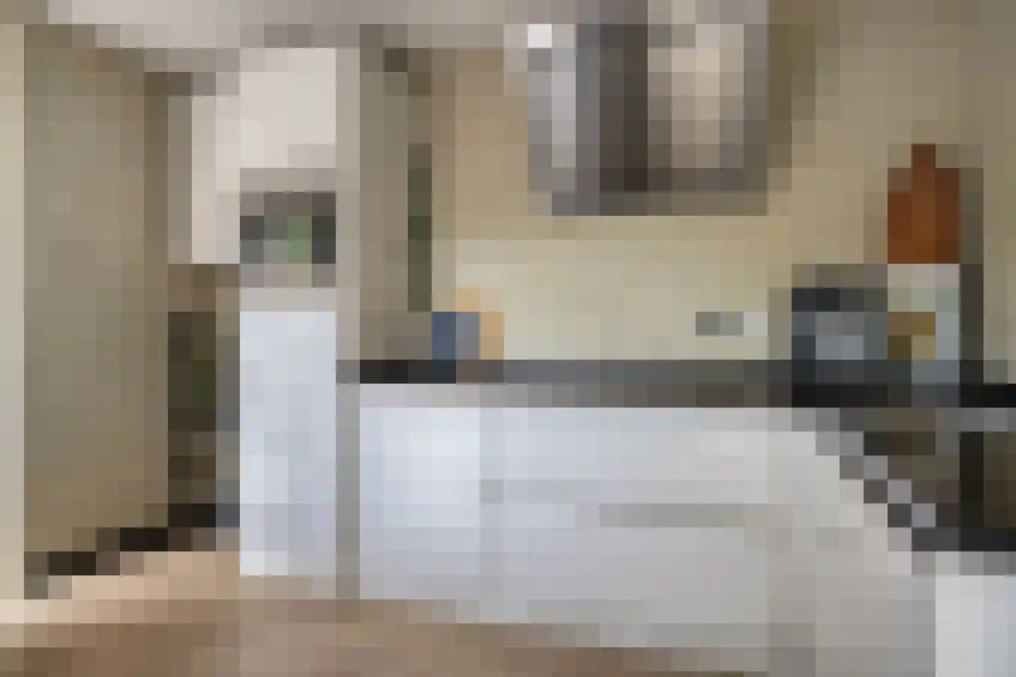 Zilverdistel 23 Hardenberg thumbnail 13