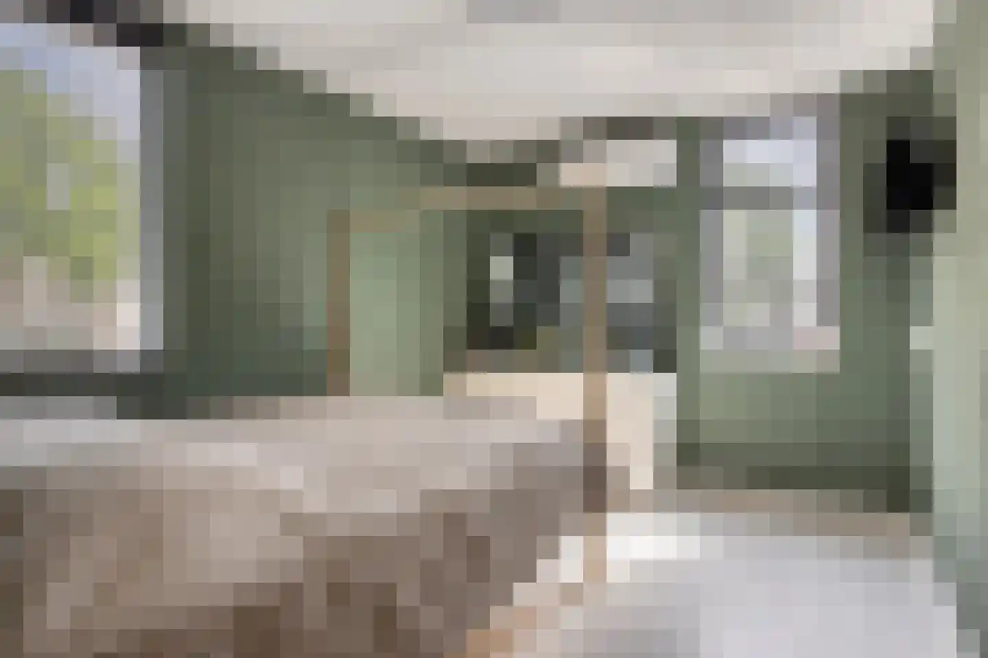 Zilverdistel 23 Hardenberg thumbnail 18