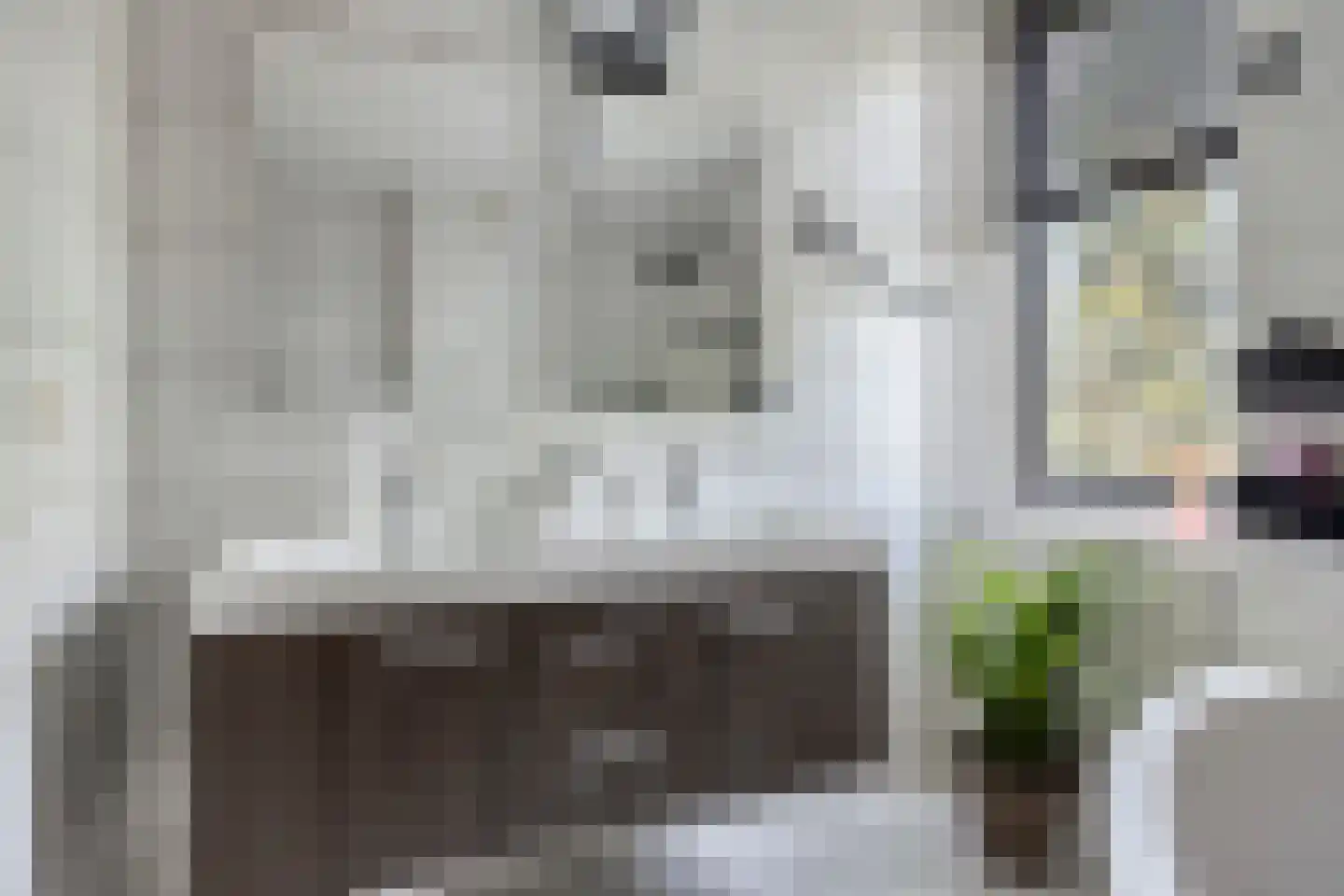 Zilverdistel 23 Hardenberg thumbnail 23