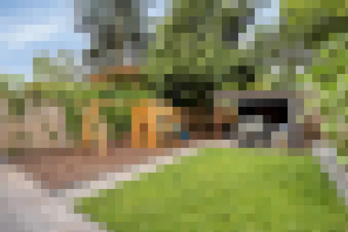 Zilverdistel 23 Hardenberg thumbnail 30