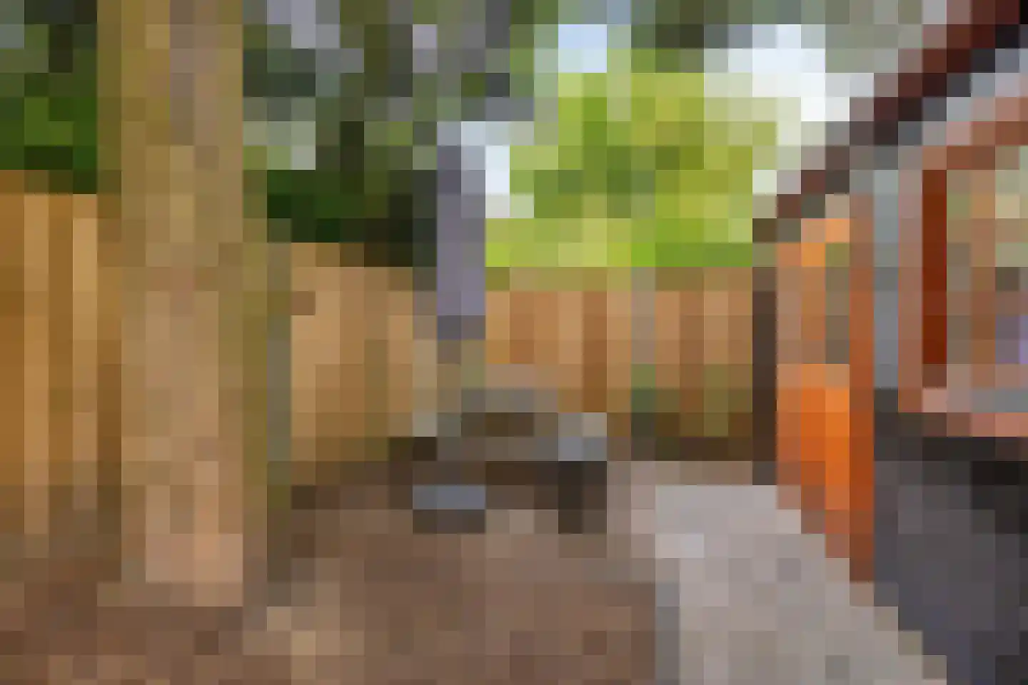 Zilverdistel 23 Hardenberg thumbnail 32