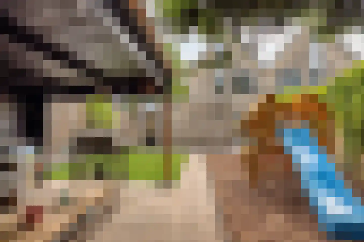 Zilverdistel 23 Hardenberg thumbnail 33