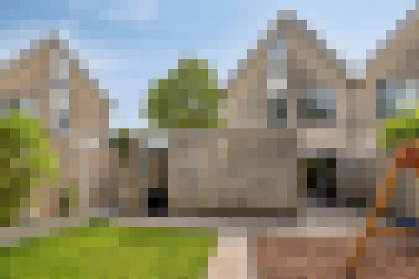 Zilverdistel 23 Hardenberg thumbnail 34