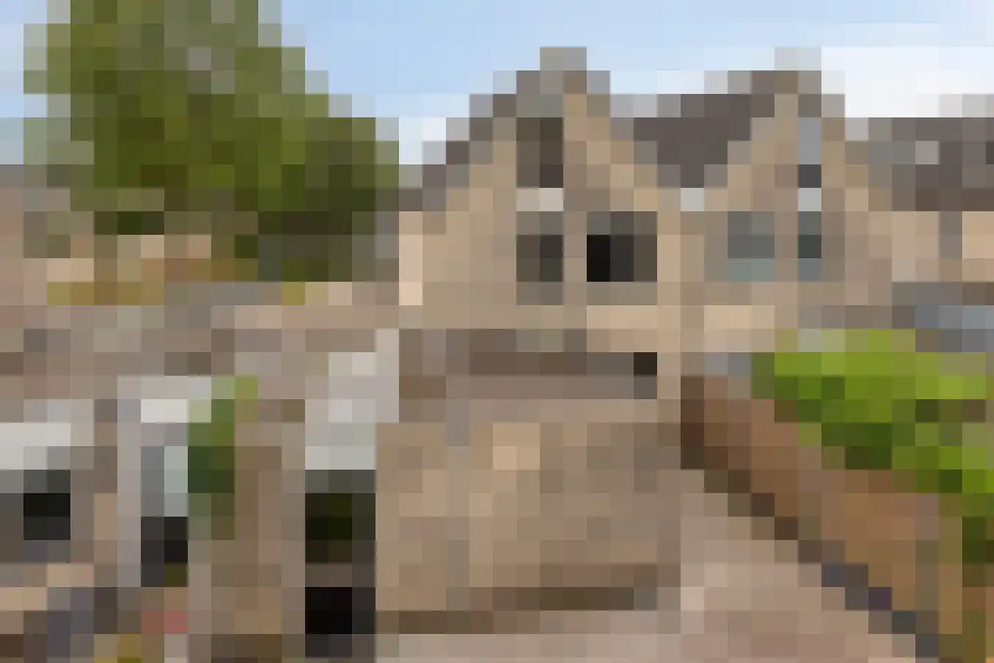 Zilverdistel 23 Hardenberg thumbnail 35