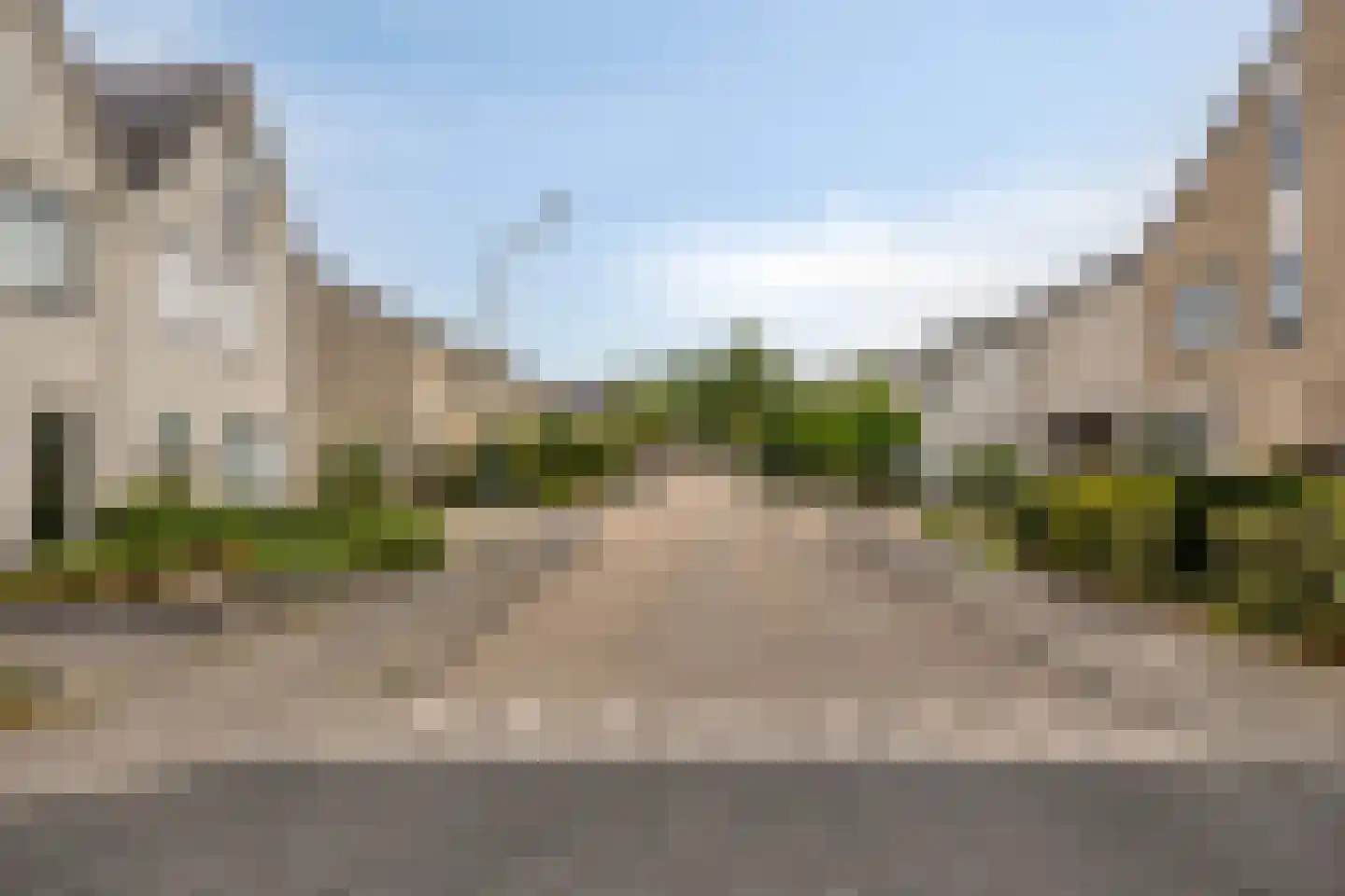 Zilverdistel 23 Hardenberg thumbnail 36