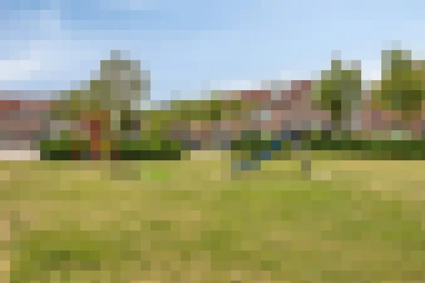 Zilverdistel 23 Hardenberg thumbnail 38