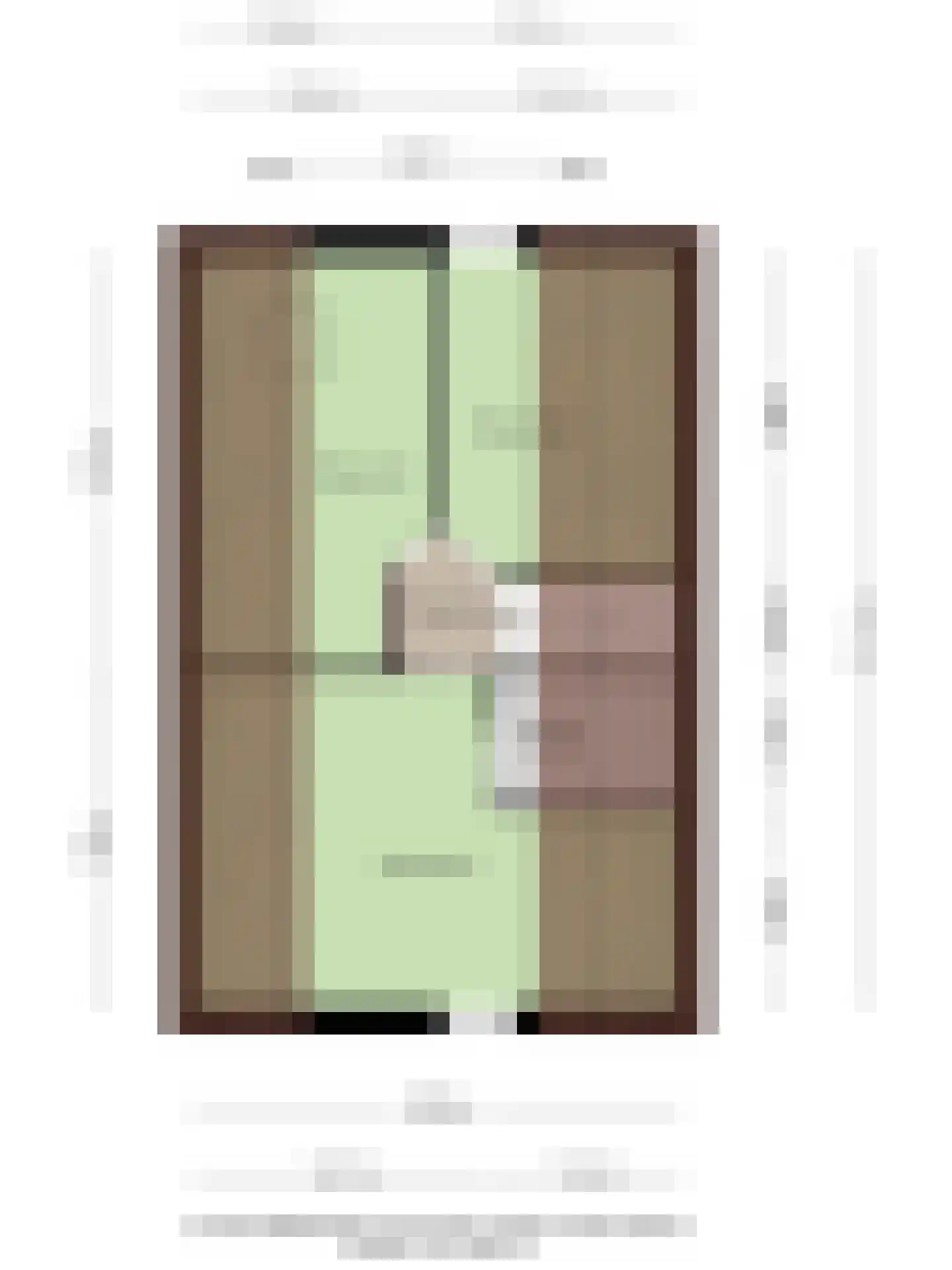 Zilverdistel 23 Hardenberg thumbnail 43