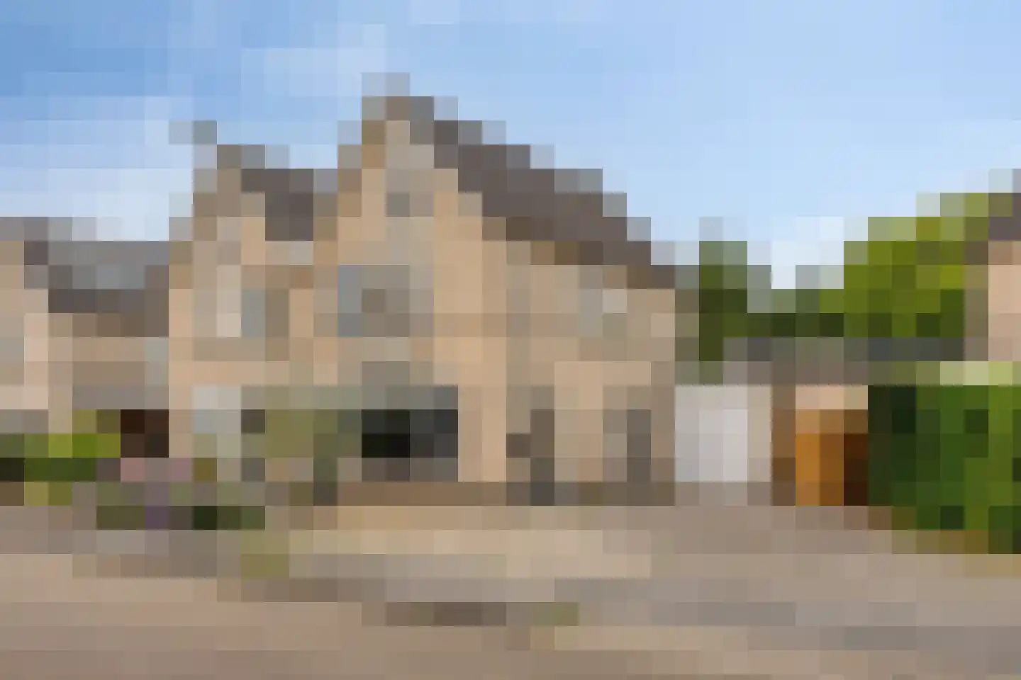 Zilverdistel 23 Hardenberg thumbnail 5