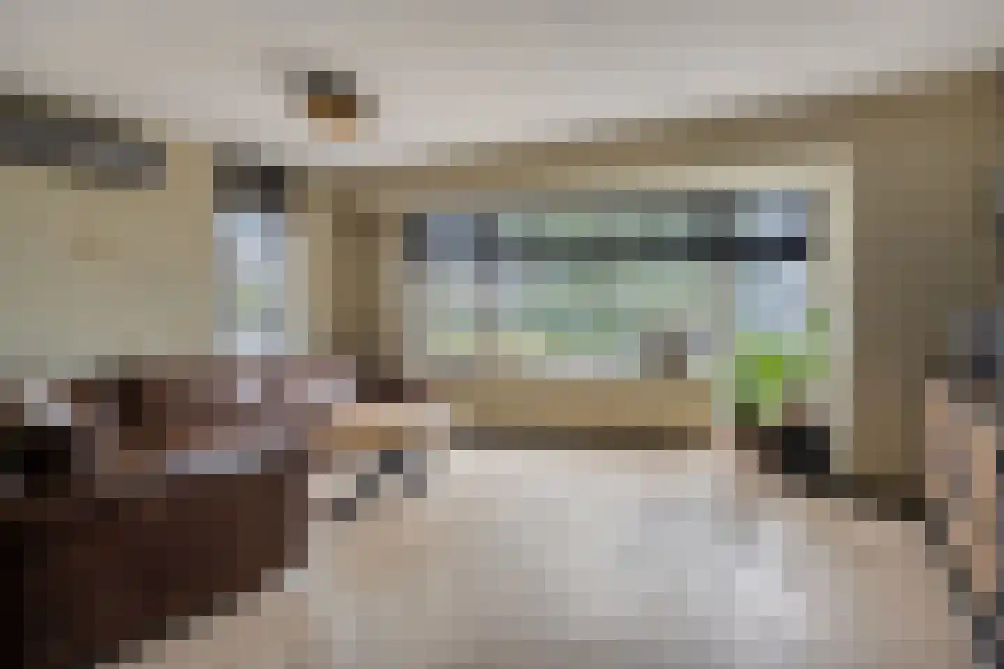Zilverdistel 23 Hardenberg thumbnail 7