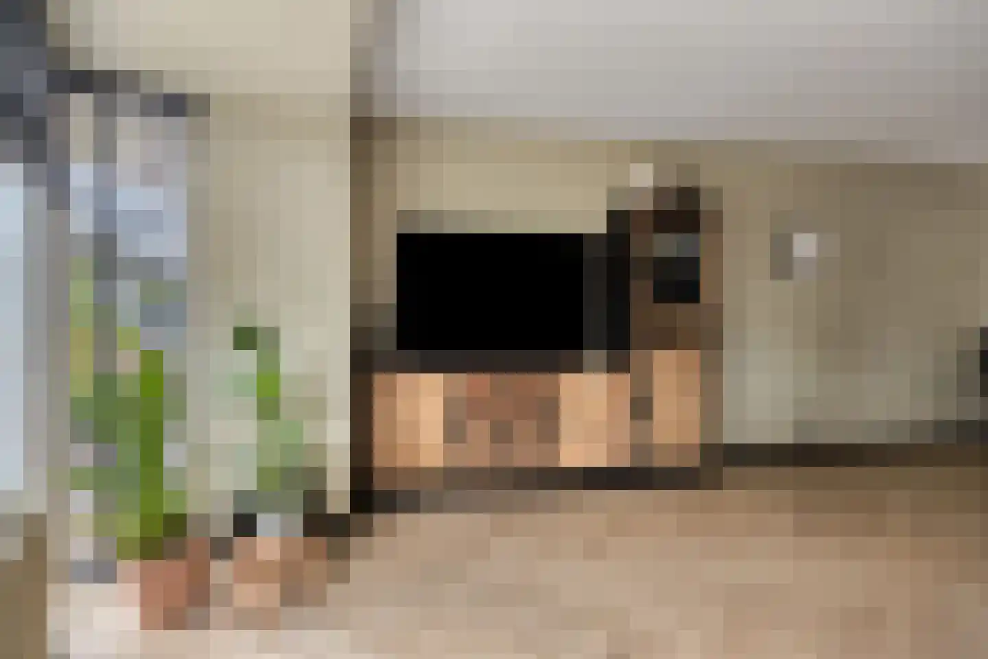 Zilverdistel 23 Hardenberg thumbnail 8