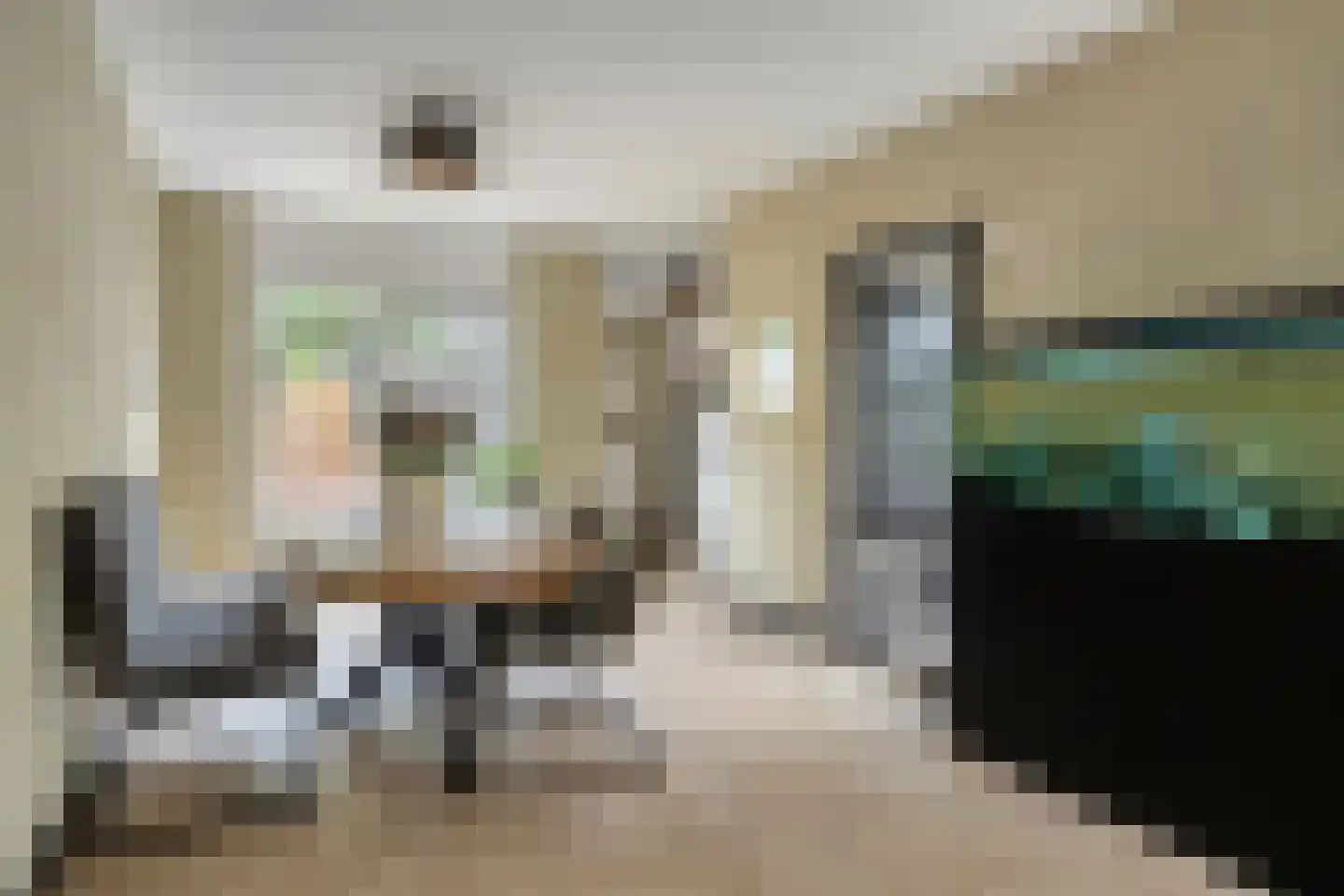 Zilverdistel 23 Hardenberg thumbnail 9