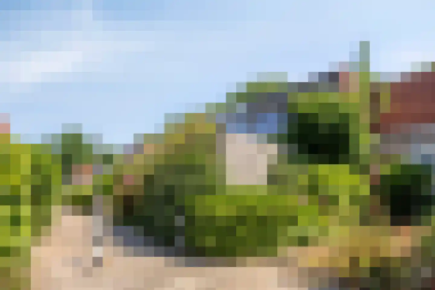 Zilverdistel 24 Rotterdam thumbnail 10