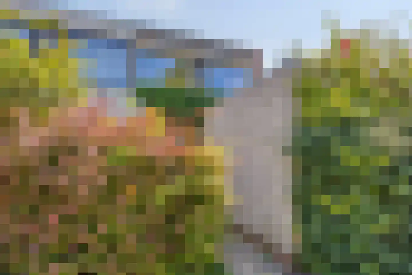 Zilverdistel 24 Rotterdam thumbnail 11