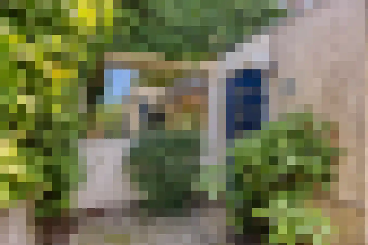 Zilverdistel 24 Rotterdam thumbnail 12