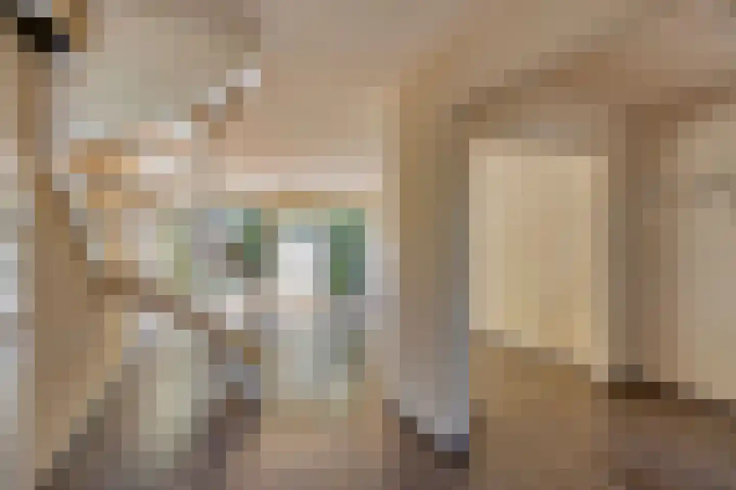 Zilverdistel 24 Rotterdam thumbnail 15