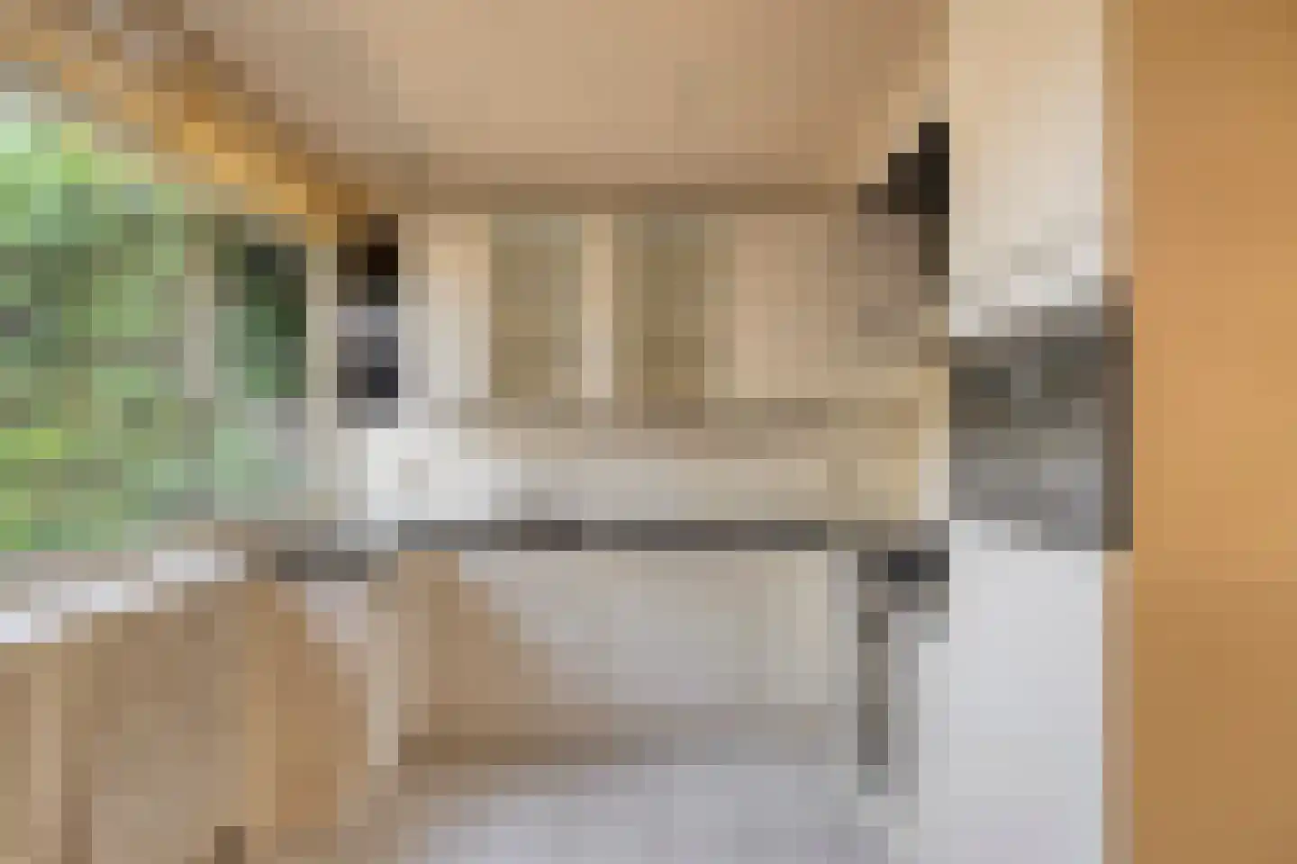 Zilverdistel 24 Rotterdam thumbnail 17