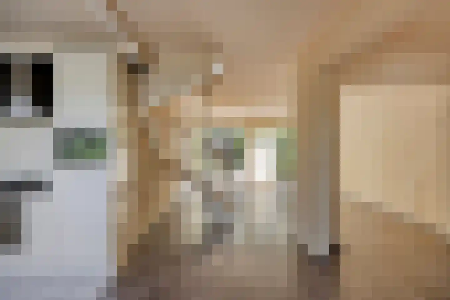 Zilverdistel 24 Rotterdam thumbnail 19