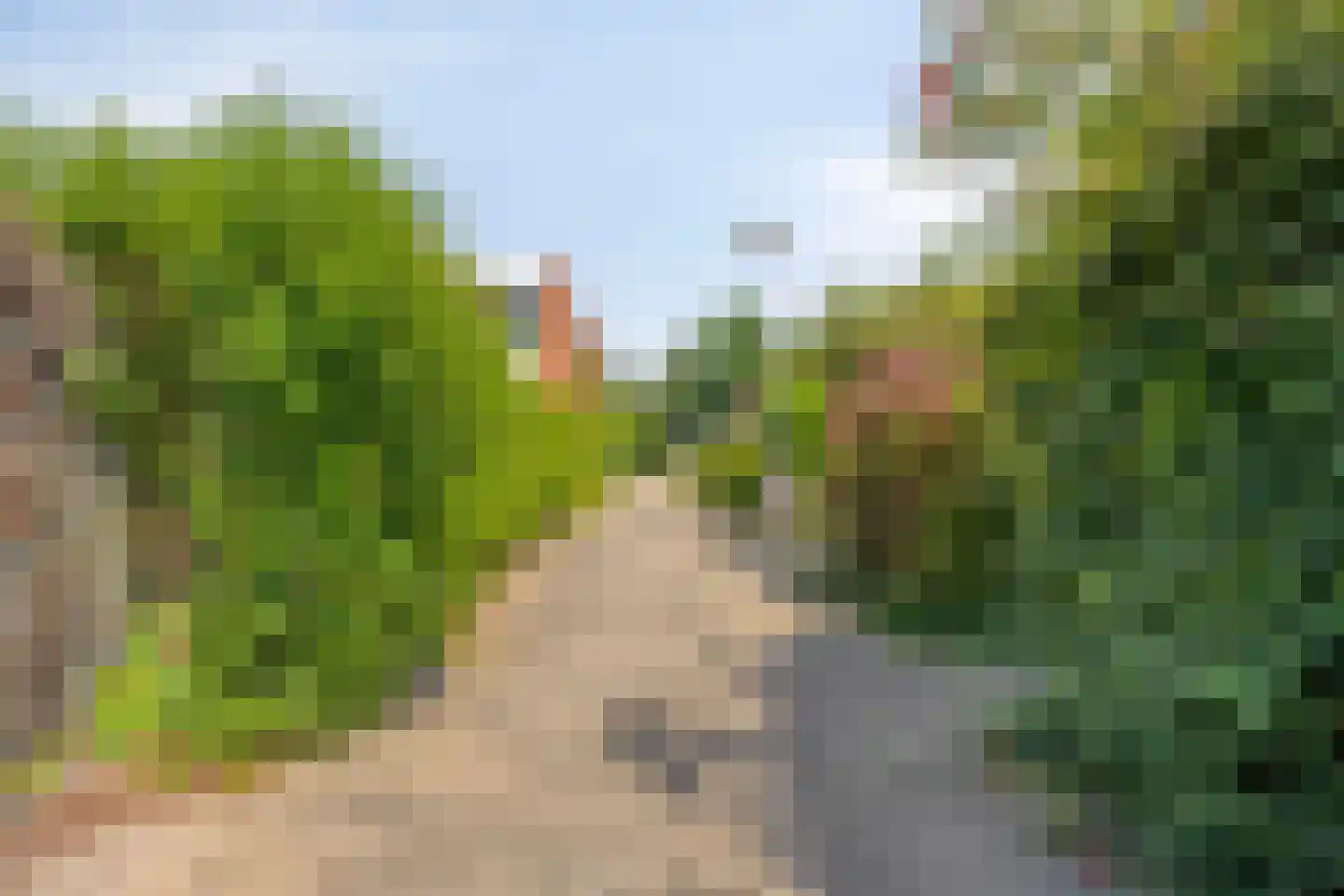 Zilverdistel 24 Rotterdam thumbnail 31