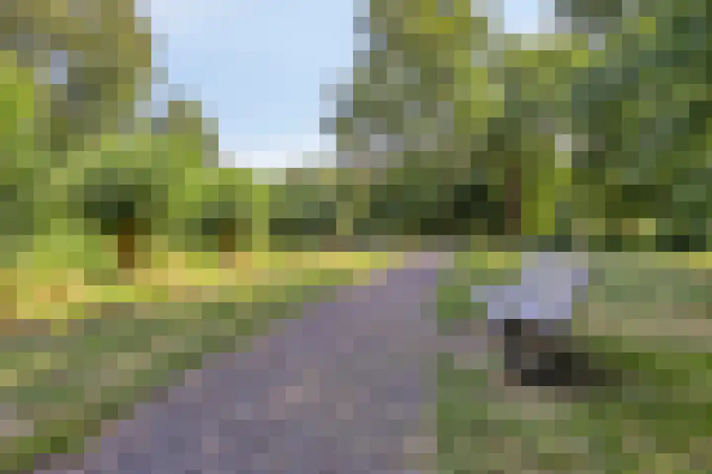 Zilverdistel 24 Rotterdam thumbnail 32