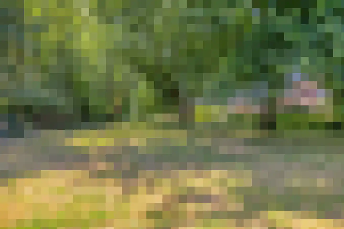 Zilverdistel 24 Rotterdam thumbnail 33