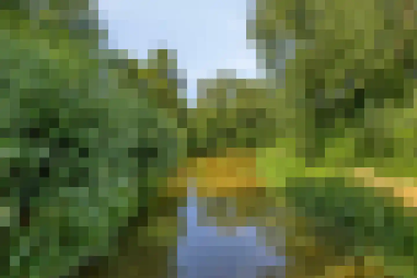 Zilverdistel 24 Rotterdam thumbnail 34