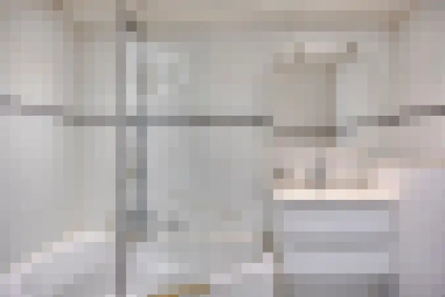 Zilverdistel 24 Rotterdam thumbnail 7