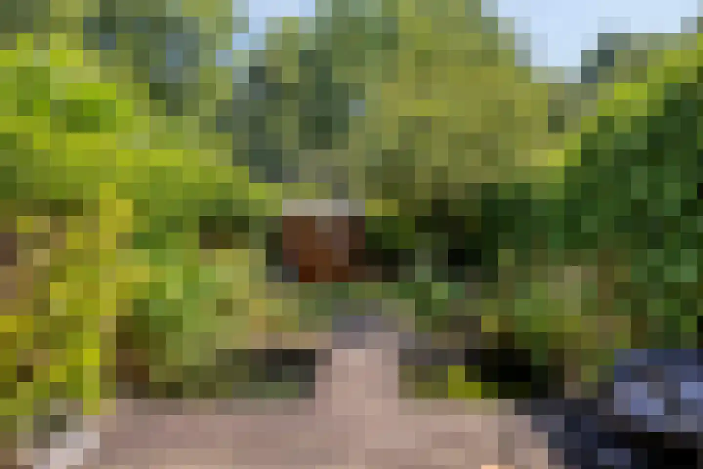 Zilverdistel 24 Rotterdam thumbnail 8