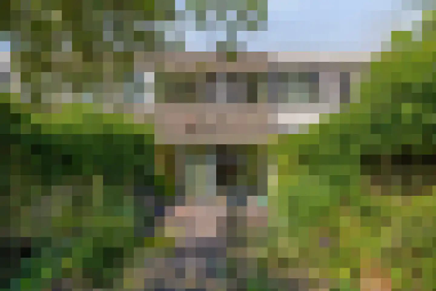 Zilverdistel 24 Rotterdam thumbnail 9