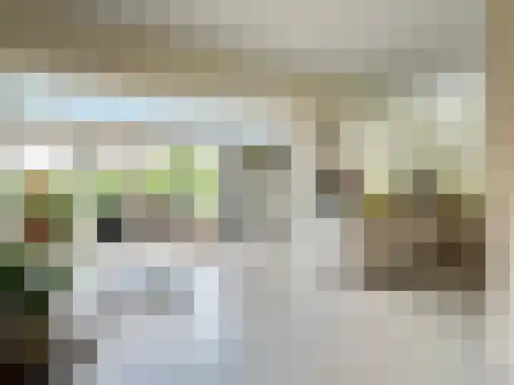 Zilverdistel 5 Montfoort thumbnail 10