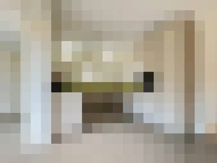 Zilverdistel 5 Montfoort thumbnail 11