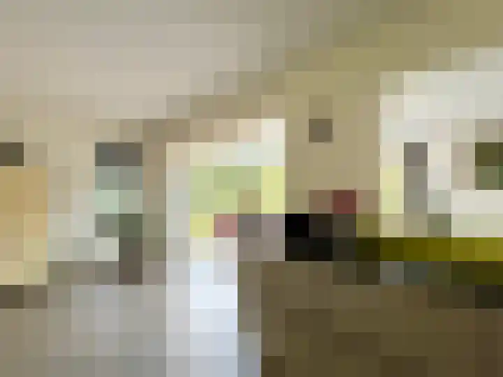 Zilverdistel 5 Montfoort thumbnail 13