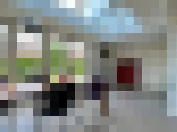 Zilverdistel 5 Montfoort thumbnail 15