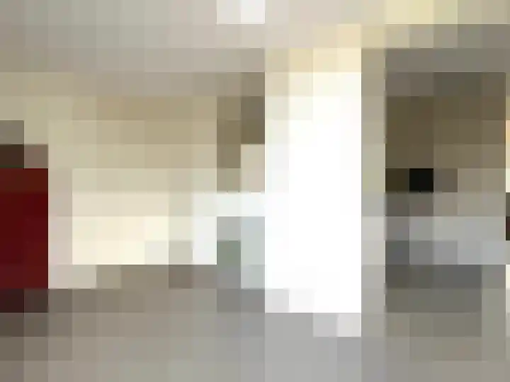 Zilverdistel 5 Montfoort thumbnail 18