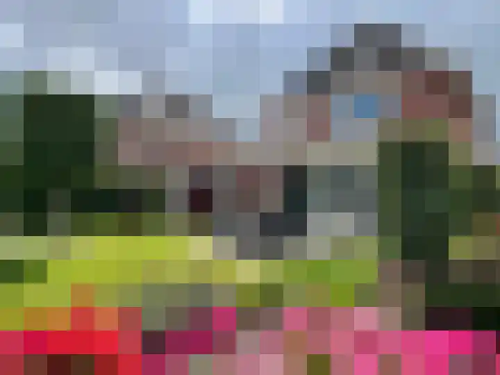 Zilverdistel 5 Montfoort thumbnail 23