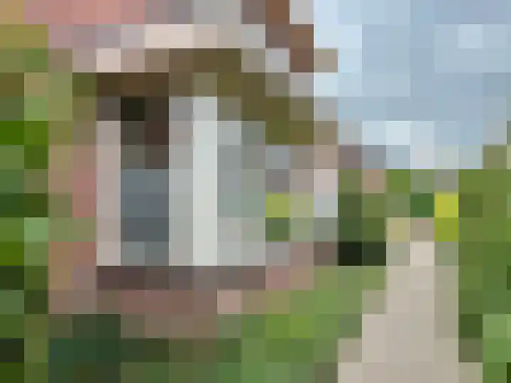 Zilverdistel 5 Montfoort thumbnail 26