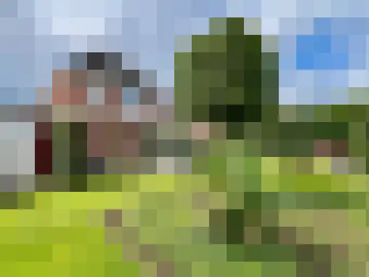 Zilverdistel 5 Montfoort thumbnail 30