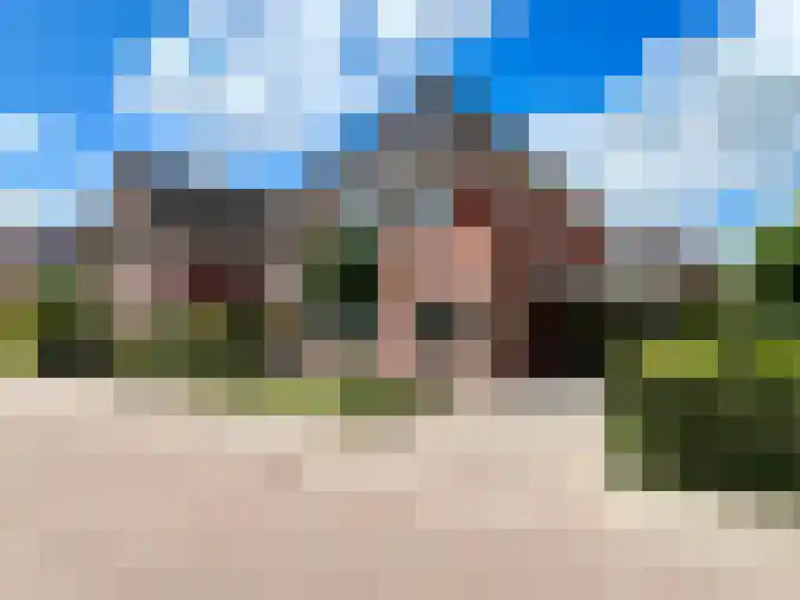 Zilverdistel 5 Montfoort thumbnail 52