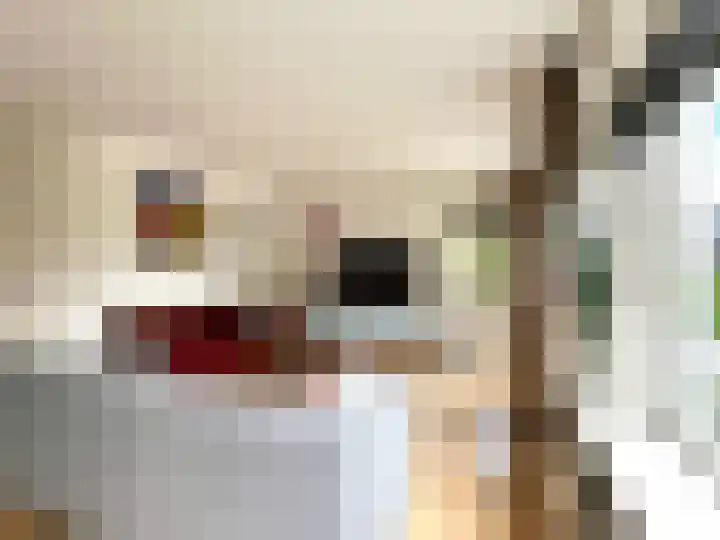 Zilverdistel 5 Montfoort thumbnail 7