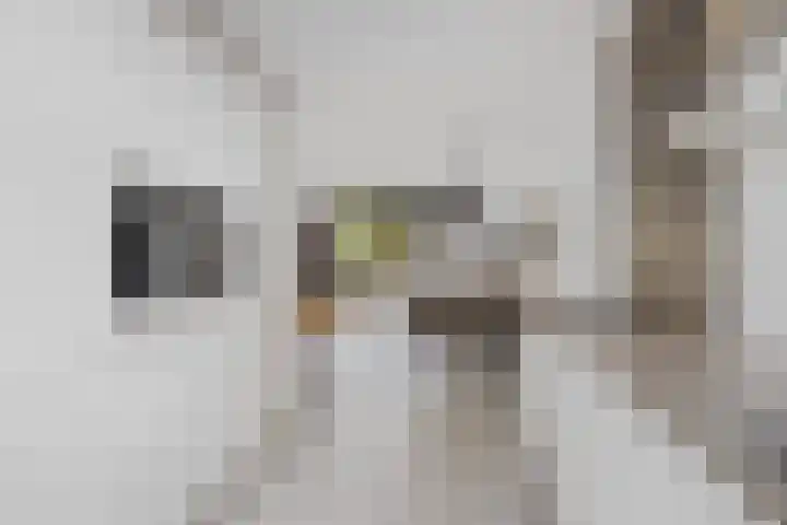 Zilverdragerstraat 14 Etten-Leur thumbnail 12