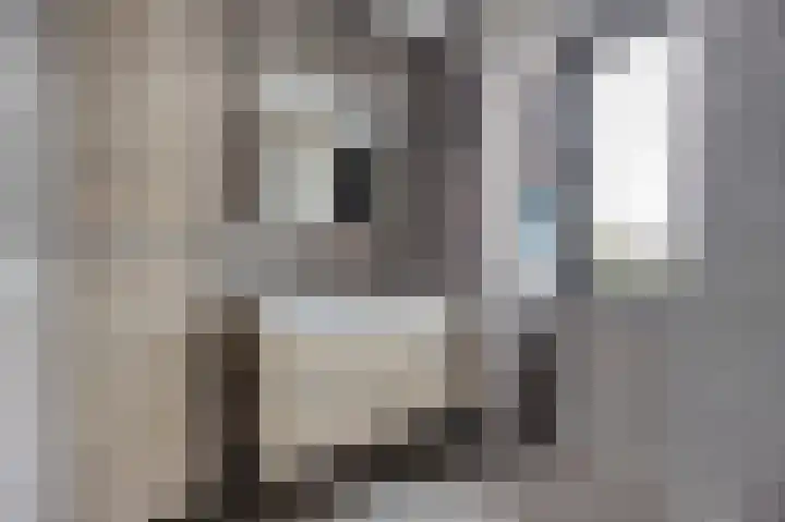 Zilverdragerstraat 14 Etten-Leur thumbnail 23