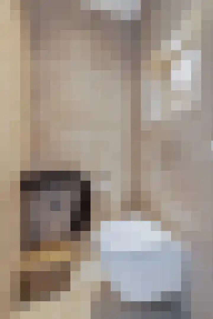 Zilverdragerstraat 14 Etten-Leur thumbnail 6