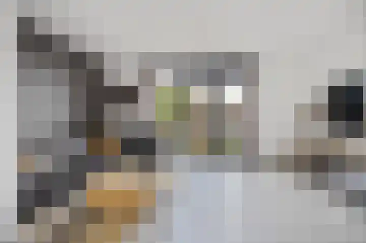 Zilverdragerstraat 14 Etten-Leur thumbnail 7
